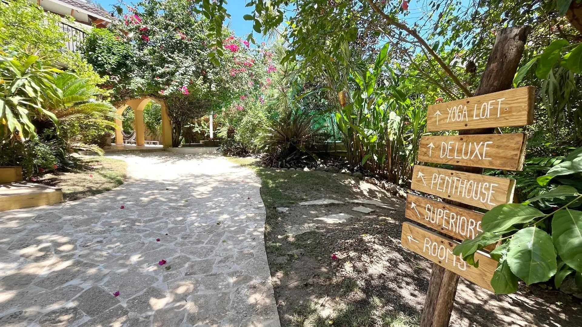 Surfbreak B&B Cabarete Den Dominikanske Republik